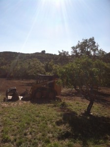 land-clearing-bandera-county2